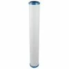 Everpure Allpoints 8012304 Filter Cartridge- Cg5-20S