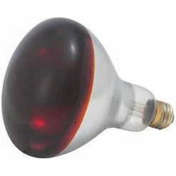 Winco EHL-BR - Red Bulb for Heat Lamp EHL-2, 250W - Pkg Qty 6