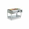 Vollrath® Servewell® 2 Well Hot Food Table 120V / 480W Ul